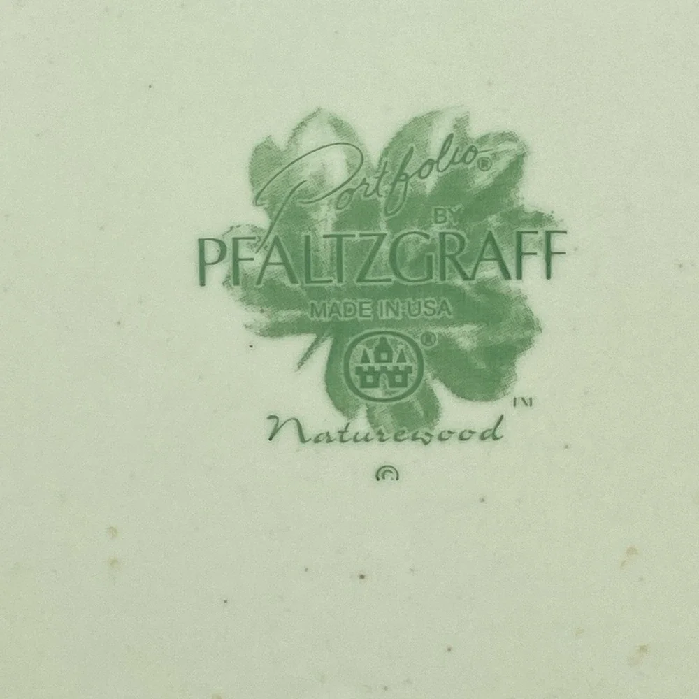 Portfolio Pfaltzgraff Naturewood Dinner Plates 11